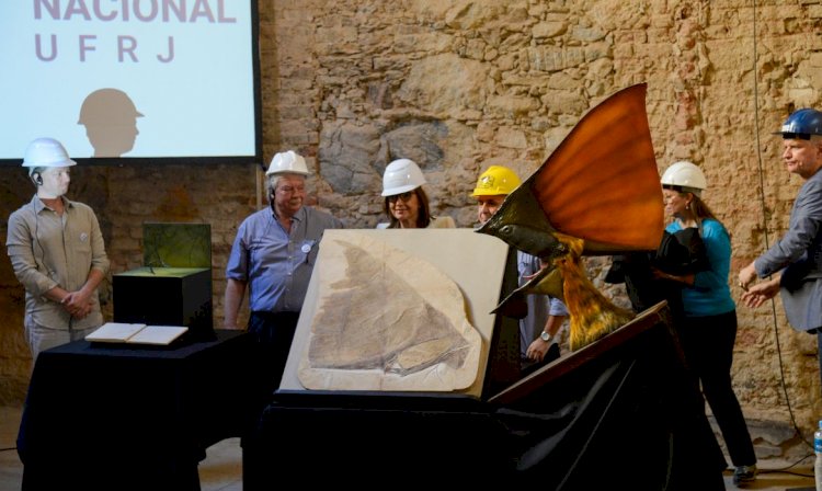 Museu Nacional recebe doação de mais de mil peças